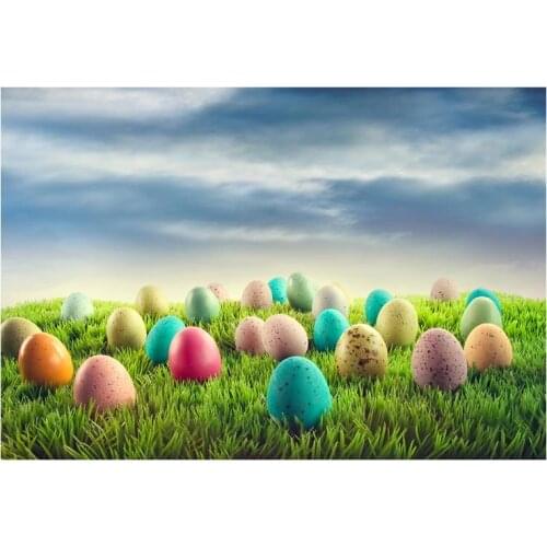 Thin Vinyl Photo Background Happy Easter Eggs Cloudy Sky Grass Children Photography Professional Background for Photo Studios