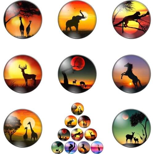 Fashion Lovely Elephant Horses Deer Giraffe Round Photo Glass Cabochon Demo Flat Back Making Findings Handmade DIY Accessories