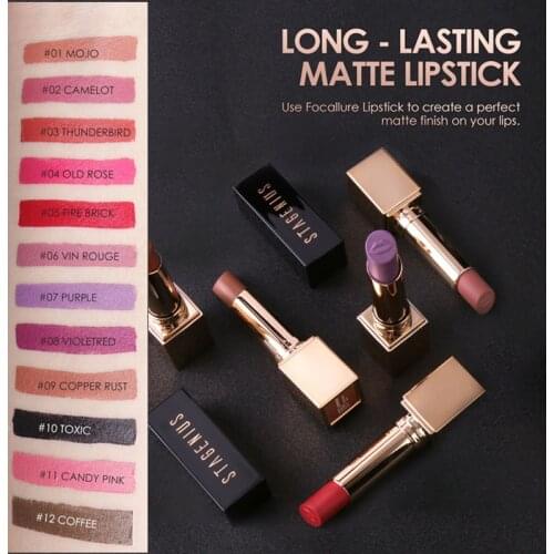 12 Color Lipstick Waterproof Brand Matte Lipstick Lip Gloss Moisturizer Mate Lip Stick Lipgloss Cosmetics Makeup Beauty TSLM1