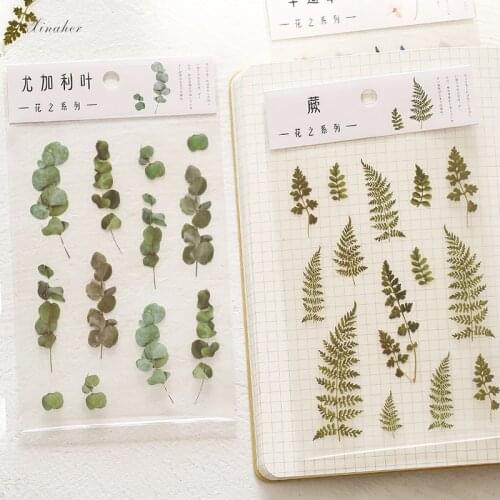 1sheet Vintage flower Gypsophila leaves transparent PET sticker DIY decoration sticker for album scrapbooking label sticker
