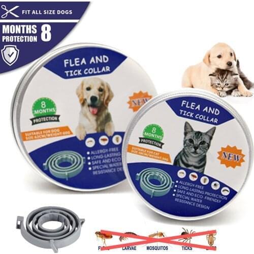 Remove Flea and Tick Dog Collar for Cat Dogs up to 8 Month Prevention Anti Mosquito Insect Bugs Collars for Dog Cat Accessories