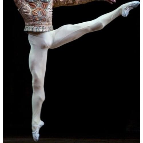Dancing Noe Pointe Shoes