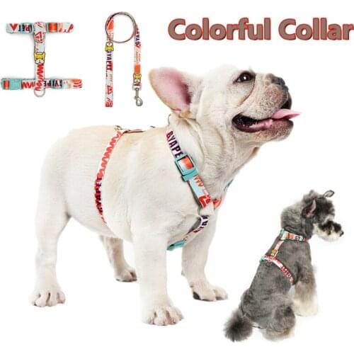 Pet leash explosion-proof cat and dog harness for small and medium-sized dogs Schnauzer French bulldog dog accessories supplies