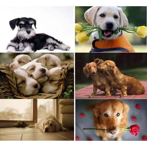 5DDIY Diamond Cross Stitch Pet Dog Golden Retriever Schnauzer, Full Diamond Rhinestone Embroidery Decorative Painting Decoration