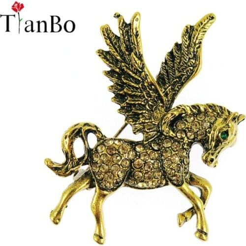 TianBo Brooches For Men