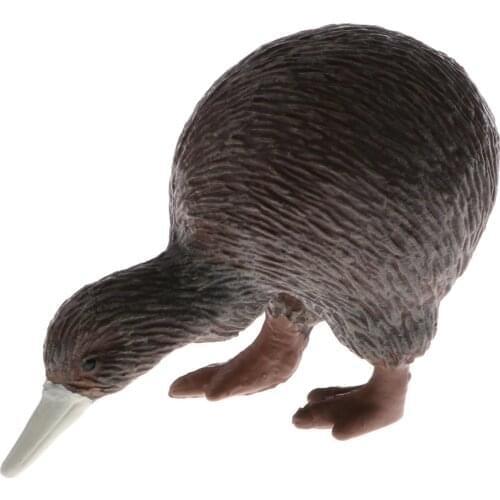 Plastic Realistic Wildlife Jungle Forest Animals Apteryx Action Figure Toys Kids Toddler Nature Toys Home Decor Collectible