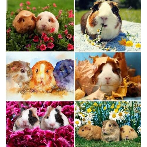 5d diy diamond Painting full square cross stitch Cute Animal Guinea Pig patterns embroidery christmas rhinestone mosaic TY775