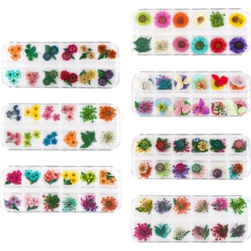 12Grid/Box Crystal Epoxy Filler Dry Flower Mixed Nail Stickers Decorations Resin Filling Material Craft Art Accessories