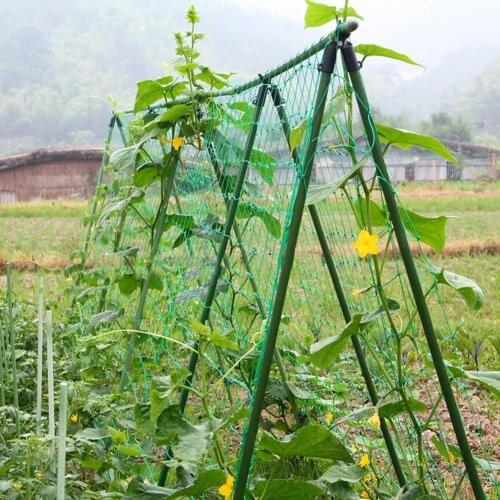 Nylon Trellis Netting Climbing Bean Fruit Vine Plant Climb Nets Grow Fence Green Support Gardening Network 1.8x0.9m