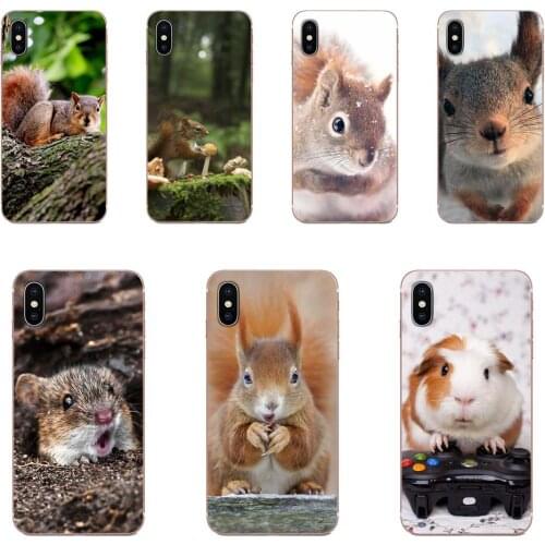 Silicone Cover Case Squirrel Guinea Pig Mouse Peanut Greedy For Huawei Mate 9 10 20 P P8 P9 P10 P20 P30 P40 Lite Pro Smart 2017