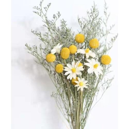 Orchidea Chamomile Pampas Rabbit Tail Grass Natural Dried Flowers Bouquet Wedding Party Decoration Nordic Style Home Decor