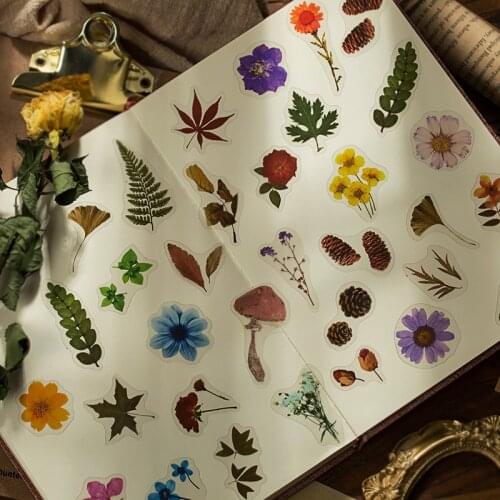Plant Collection Series Decorative Stickers Flower mushroom Leaves Scrapbooking Stick Label Diary Stationery Album Stickers