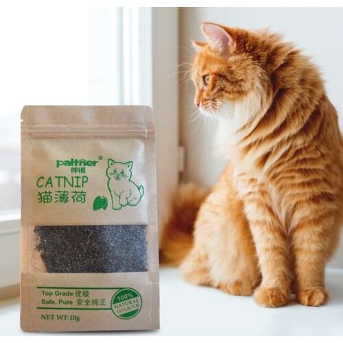 Cat Toy Organic 100% Natural Premium Catnip Cattle Grass 10g Menthol Flavor Funny Cat Toy Interactive Cat Non-toxic Dropship