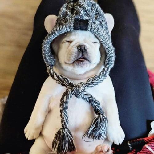 Knitting Dog Hat Autumn Winter Warm Windproof Knitted Hat Cute Costume Accessories Cap for Pet Dog