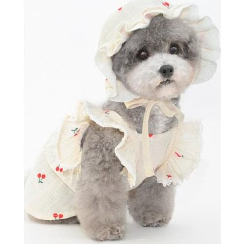 Summer Dog Dress Hat Cat Dog Dresses Skirt Cap Outdoor Travel Pet Clothes Puppy Yorkshire Pomeranian Poodle Bichon Dog Clothing