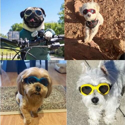 Dog Glasses Sunglasses Reflection Eye Protection Windproof Goggles Medium Large Dog Swimming Glasses Cool Accessaries