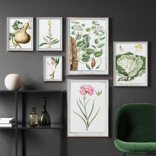 Vintage Botanical Poster Bottle Gourd Cabbage Carnation Colchique Reference Chart Diagram Illustration Wall Art Canvas Painting