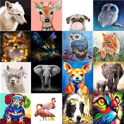 Diy Oil Colorful And Cute Animals Painting By Numbers Acrylic Paint Kits Pictures By Numbers For Bedroom Wall Paint Wall Decor