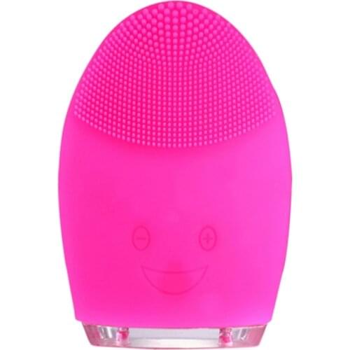 ALESHENG Electric Face Brushes