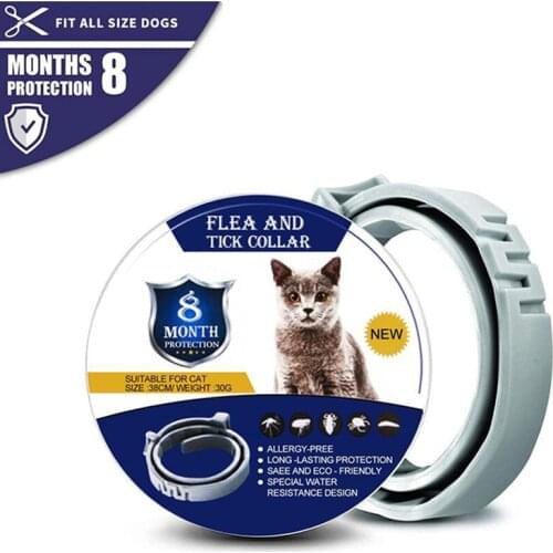 New Pet Dog Cat Collar Anti Flea Ticks Mosquitoes Outdoor Adjustable Collar for cat Accessories 8 Months Long-term Protection