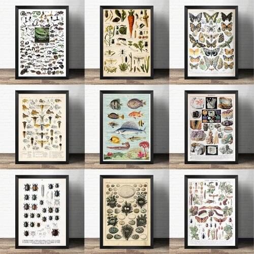 Popular science decorative painting early education world- Insect vegetables fish -Atlas art painting Retro poster kraft paper