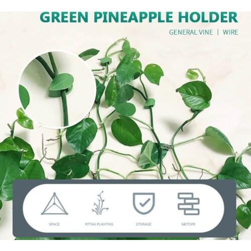10pcs Garden Accessories Plant Clips Leaves Wall Vine Flower Vegetables Plant Holder Creative Plant Climbing Wall Fixture Clips