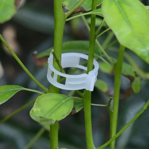 50/100pcs Plastic Plant Support Clips Reusable clamps For Plants Hanging Vine Garden Greenhouse Vegetables Tomatoes Clips 25mm