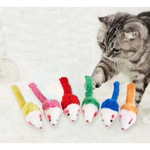 Chubby Catus Products For Cats