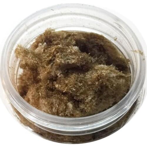 Graphene oxide / few layer graphene oxide / high quality graphene oxide powder / Great water-solubility/Good dispersibility 10g