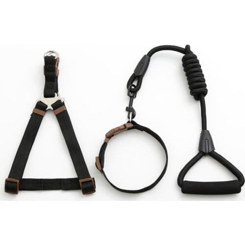 Pets Dog Collar Harnesses and Leash Training Running Leading For Small Medium Large Dog DU055