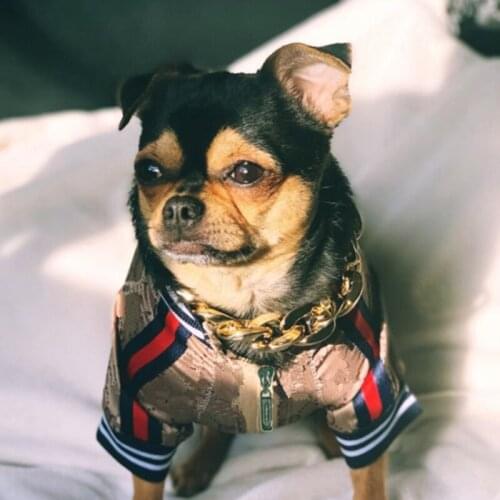 New Pet Dogs Clothes Cool Jacket fo Puppy Small Dogs Clothing French Bulldog Akita Clothes Pugs Dogs Hoodies Dog B1034