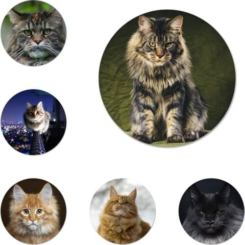 Pet maine coon cat Icons Pins Badge Decoration Brooches Metal Badges For Backpack Decoration
