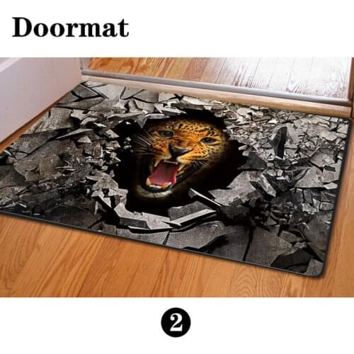 CASEGRACE Entrance Carpets For Home