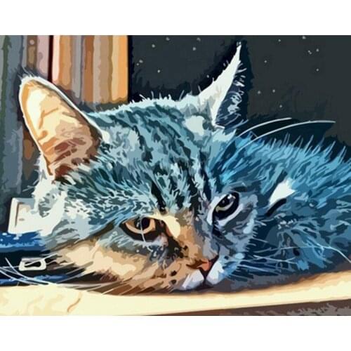 Cat Painting By Number Acrylic Paint On Canvas DIY Kits For Adults Animal HandPainted Oil Picture Drawing Coloring By Number Art