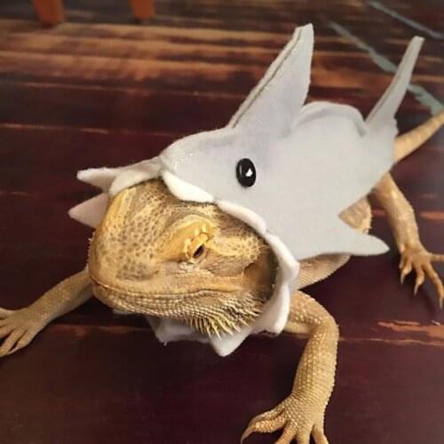 Small Pet Costume Lizard Transfiguration Festival Dress Up Simulation Shark Style Suit Costume Props Clothing, S/M/L