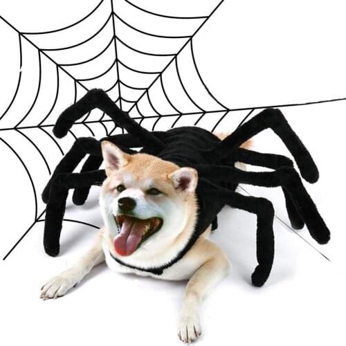 Halloween Spider Clothes For Pet Dog Cat Spider Costumes Dressing Up Pet Clothes Party Pet Halloween Props Funny Accessories
