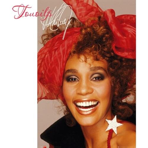TOUOILP 5d Whitney Houston Diamond painting cross-stitch rhinestones paintings diamond embroidery needlework icons Home Decor