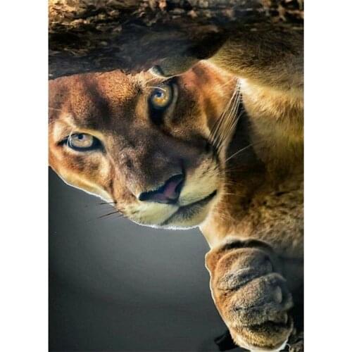 Horse Animal DIY Embroidery Cross Stitch 11CT Kits Needlework Craft Set Cotton Thread Printed Canvas Home Decoration Room