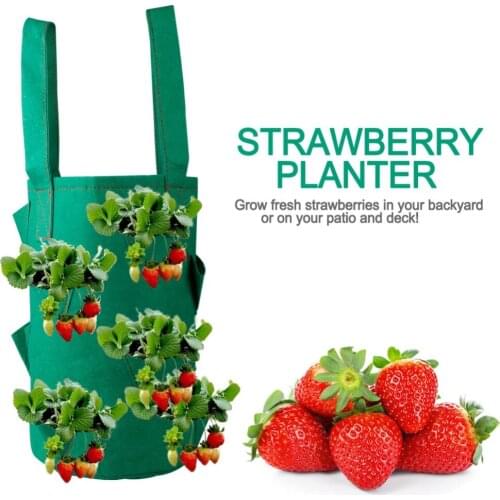 11 Hole Potato Strawberry Planter Bags For Growing Potatoes Outdoor Vertical Garden Hanging Open Vegetable Planting Grow Bag