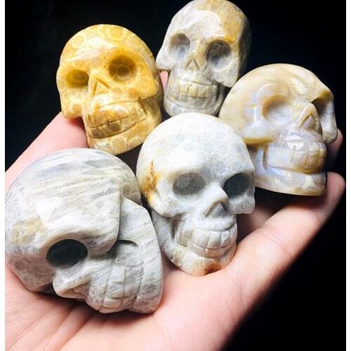 Natural Coral Jade Fossil Stone Healing Crystal Carved Skull Figurine Feng Shui Aesthetic Room Decorative Reiki Art Gift