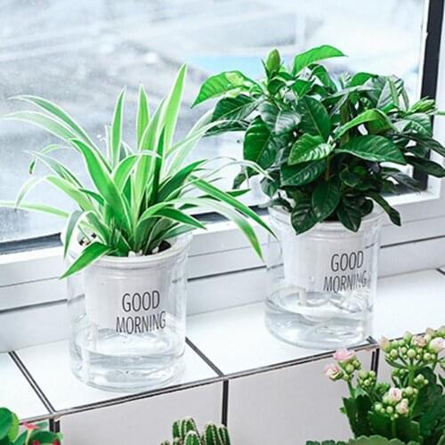 Self-watering Flowerpot 2 Sets Double Round Plastic Hydroponic Flowerpot Water Absorption Succulent Aquaculture Transparent
