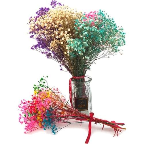 1 Bunch Of Mini Natural Dried Flowers Eternal Flower Bouquet Decoration Photography Decoration Home Christmas Wedding Decoration