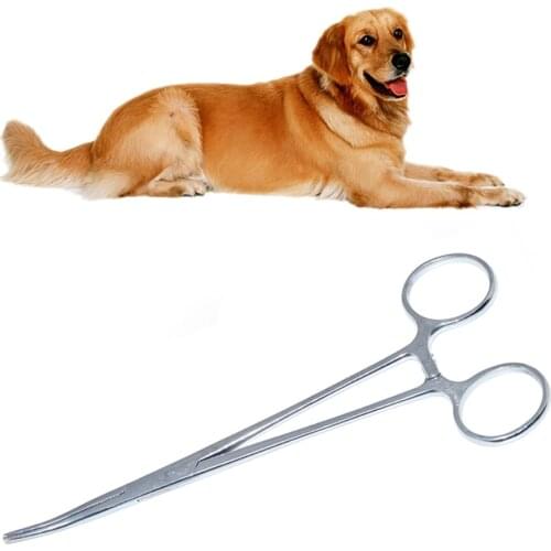 1 PC Medical Stainless Steel Curved Head Hemostatic Forceps Forceps Needle Holder for Pet Hair Towel Clamp Pliers