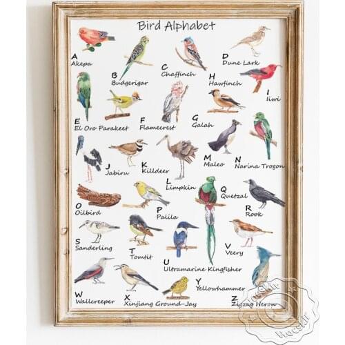 Animal Alphabet Elementary Education Poster, Watercolor Bird Study ABC Art Prints, Play Room Kids Room Nursery Canvas Wall Decor