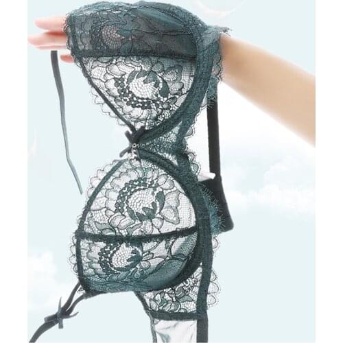 Fashion Brand Lace Sexy Bra And Panty Sets For Women Lingerie Plus Size C D Transparent Push Up Female Underwear Set Blue Green