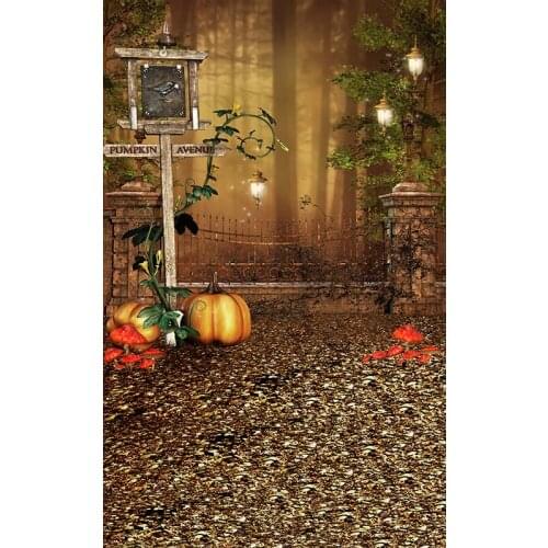 Strange Photography Backdrops Pumpkins Bird Avenue Signpost Foggy Forest Halloween Backgrounds for Photo Studio Vinyl Cloth