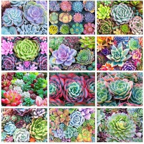 Diy Diamond Painting Succulent Flower Cross Stitch Diamond Mosaic Plant Rhinestones Art Pictures Kits Handmade Home Wall Decor