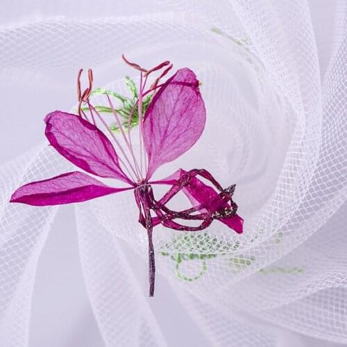 60pcs Pressed Dried Gaura lindheimeri Engelm Flower Plants Herbarium For Epoxy Resin Jewelry Making Makeup Nail Art Craft DIY