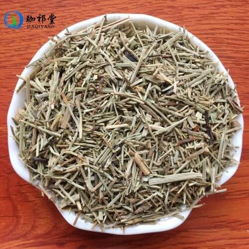 Equisetum Arvense L. Field Horsetail Bottle Brush Herb Wen Jing