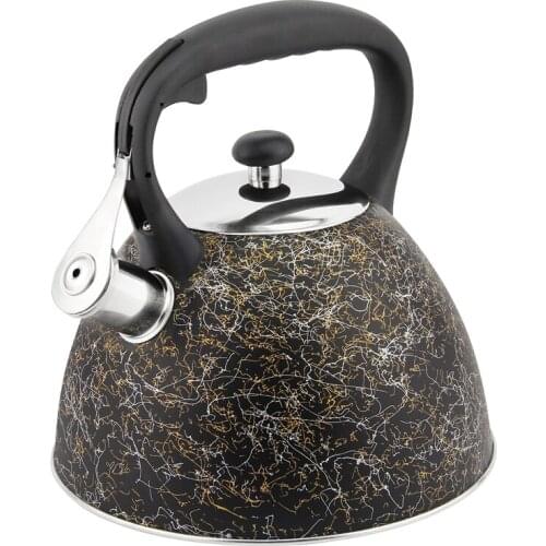 Hausroland Whistling Kettle Golden Thread for all StovetopStainless Steel Teapot